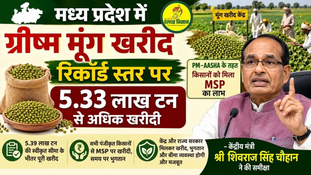 Record procurement of summer moong in Madhya Pradesh