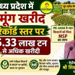 Record procurement of summer moong in Madhya Pradesh