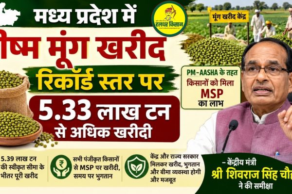 Record procurement of summer moong in Madhya Pradesh