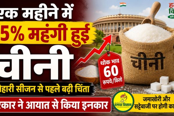 Sugar prices rose by 15 in a month raising concerns ahead of the festive season the government has ruled out imports