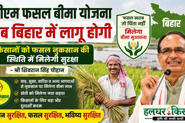 The PM Fasal Bima Yojana will now be implemented in Bihar farmers will receive protection against crop loss