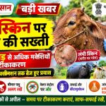 Government cracks down on Lumpy Skin over 36.18 crore cattle vaccinated
