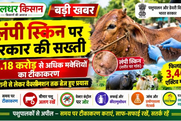 Government cracks down on Lumpy Skin over 36.18 crore cattle vaccinated