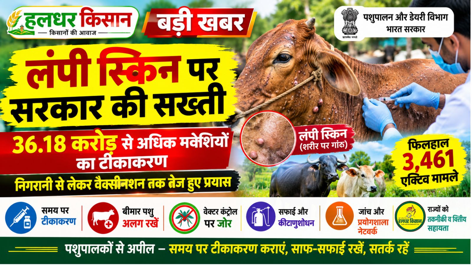 Government cracks down on Lumpy Skin over 36.18 crore cattle vaccinated