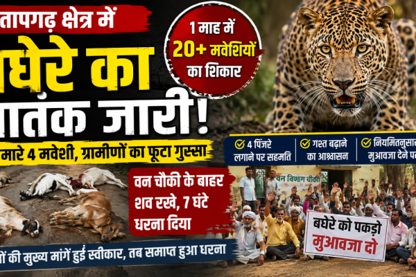 Leopard terror in Pratapgarh region for a month over 20 livestock killed