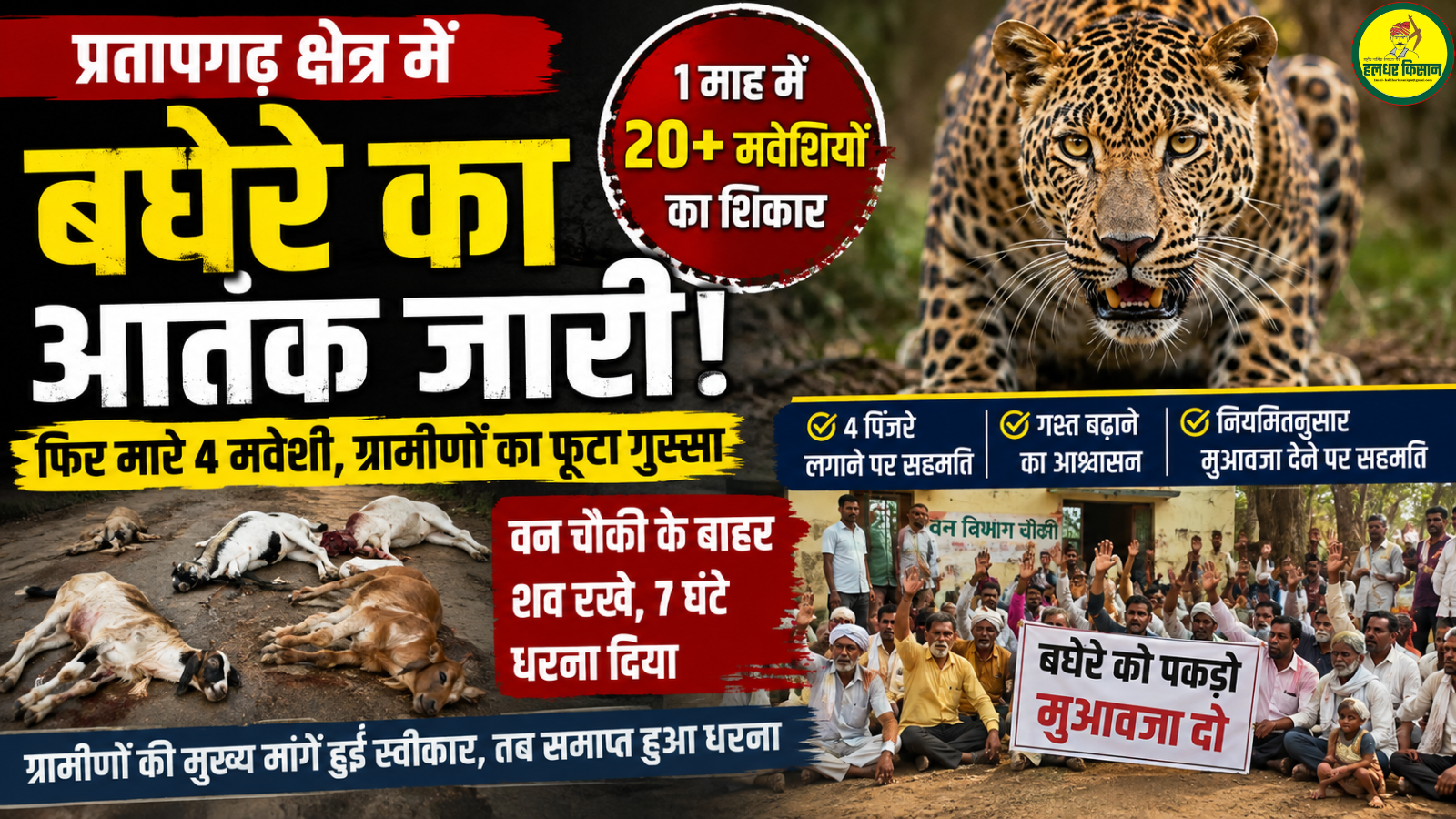 Leopard terror in Pratapgarh region for a month over 20 livestock killed