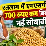 New soybean selling at ₹700 below MSP in Ratlam farmers concerns mount