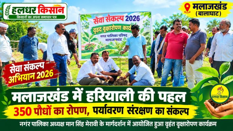 मलाजखंड में पर्यावरण संरक्षण की पहल: सेवा संकल्प अभियान के तहत 350 पौधों का रोपण