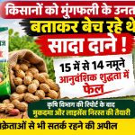 Farmers defrauded in the name of improved groundnut seeds