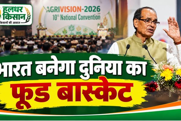 India will become the worlds ‘food basket