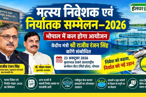 Investment and exports in the fisheries sector will get a boost