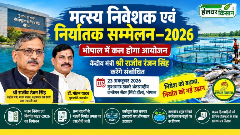 Investment and exports in the fisheries sector will get a boost